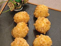 -丁老爷子苏香圆