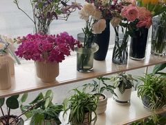 -dotcom coffee古点咖啡(致真大厦店)