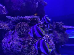 -成都浩海立方海洋公园