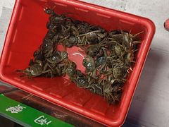 -阳澄湖大闸蟹·琼灵阁牌品牌连锁(吴中总店)