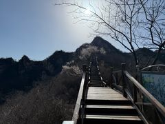 -大岭沟猕猴桃谷风景区