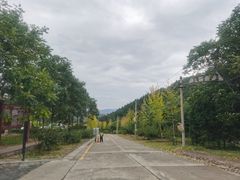 -北京十三陵国家森林公园蟒山景区
