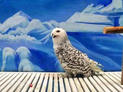 -成都浩海立方海洋公园