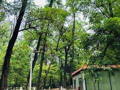 -顺鑫绿色度假村