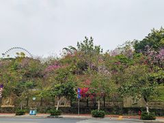 -南宁市凤岭儿童公园