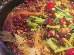 -老板恋上鱼(高新万达店)