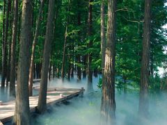 -东湖落雁景区