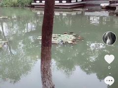 -包公祠