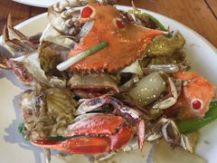 -蓝湾碧波·老字号·疍家非遗海上餐厅