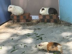 -清远恒大酒店·寻味清远