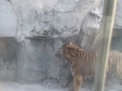 -太原动物园