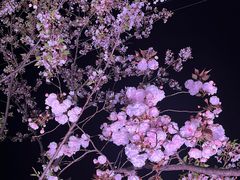 -西北湖绿化广场