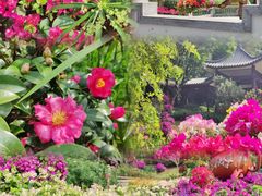 -广州市白云山风景名胜区