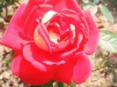 -人民公园(罗湖区)