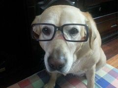 -爱侣宠医·鹦鹉专科·小型哺乳类·异宠专科(灵石路店)