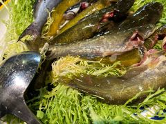 -悦硒楼·新派恩施菜