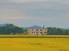 -光明小镇欢乐田园