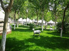 -九十九顶毡房(阜石路店)