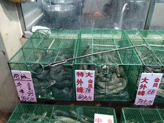 -荔城生鲜盛宴(番禺旗舰店)