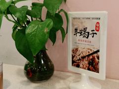 -新发记港式茶餐厅(黄浦店)