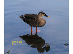 -海珠湖公园