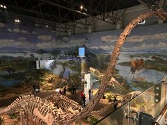 -自贡恐龙博物馆