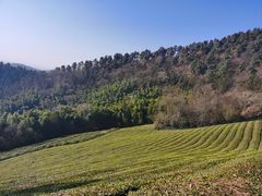 -敬亭山风景名胜区