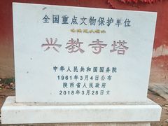 -兴教寺