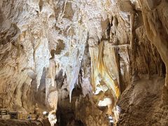 -怀托摩萤火虫洞