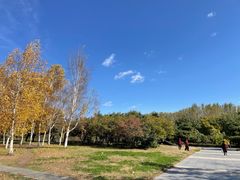 -长春公园(普阳街道)