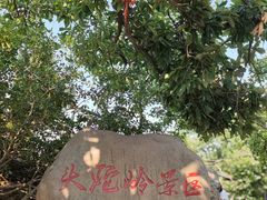 -灵谷景区