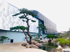 -罗红摄影艺术馆