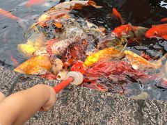 -拱北楼(皇亭广场店)