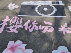 -龟山风景区-龟山电视塔