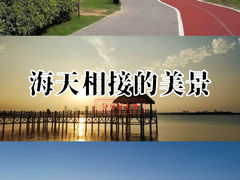 -瑶湖郊野森林公园
