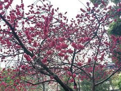 -成都市活水公园