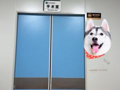-北京佳信宠物医院