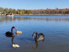 -长春市南湖公园