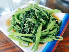 空心菜-临高吉海土窑