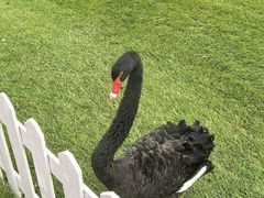 -万柳高尔夫俱乐部