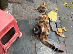 -贤兴甜汤