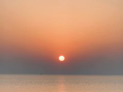 -西京湾花海