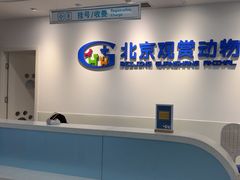 -北京观赏动物医院·24小时大型综合·猫专科·异宠专科