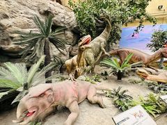 -国家自然博物馆