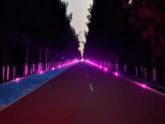 -坛南湾阿强农家乐.海鲜大排档老字号(福州地标美食店)