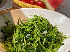 -新天明砂锅鱼头煲