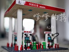 -中国石化武夷路加油站