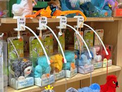 -帕帕拉兹宠物(亚洲旗舰店)