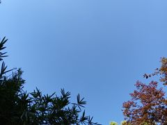 -南翔镇银翔湖公园