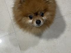 -中粮·祥云小镇